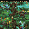 EcoQuest-2-Lost-Secret-of-the-Rainforest