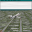 Microsoft-Flight-Simulator-v5-0-
