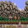 Prehistorik-2
