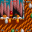 Zool-2